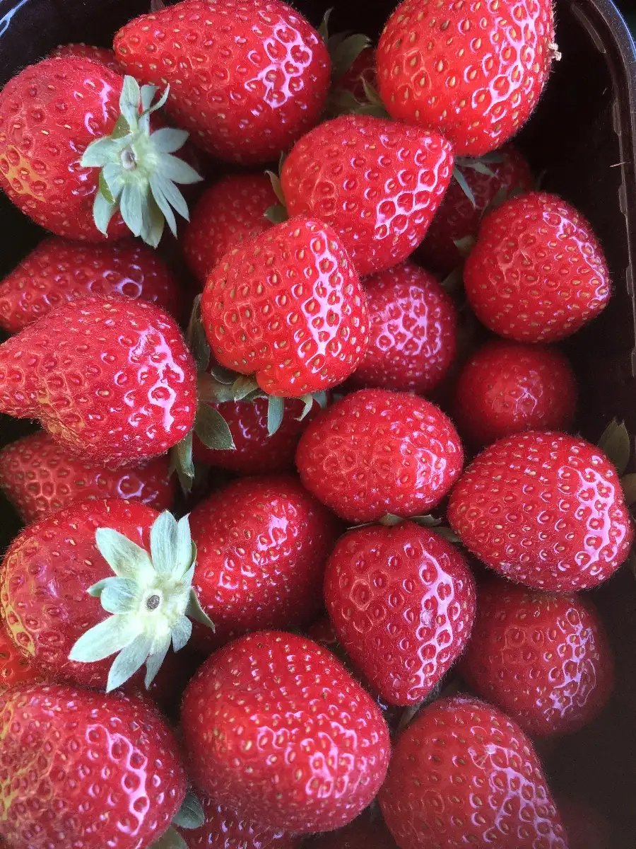 Fraises Dream 250g
