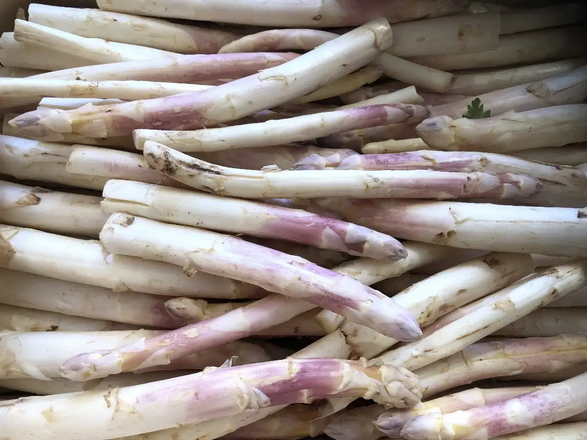 Asperges violette 500g