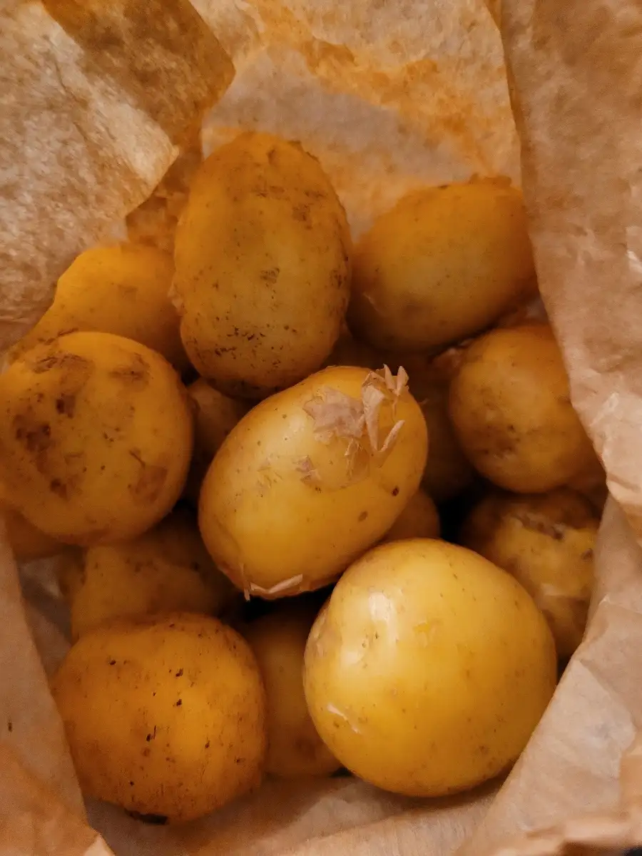 Pomme de terre nouvelle sirtema gros