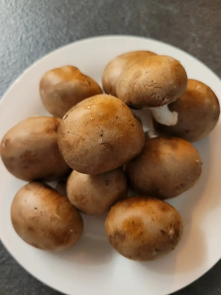 Champignon blond