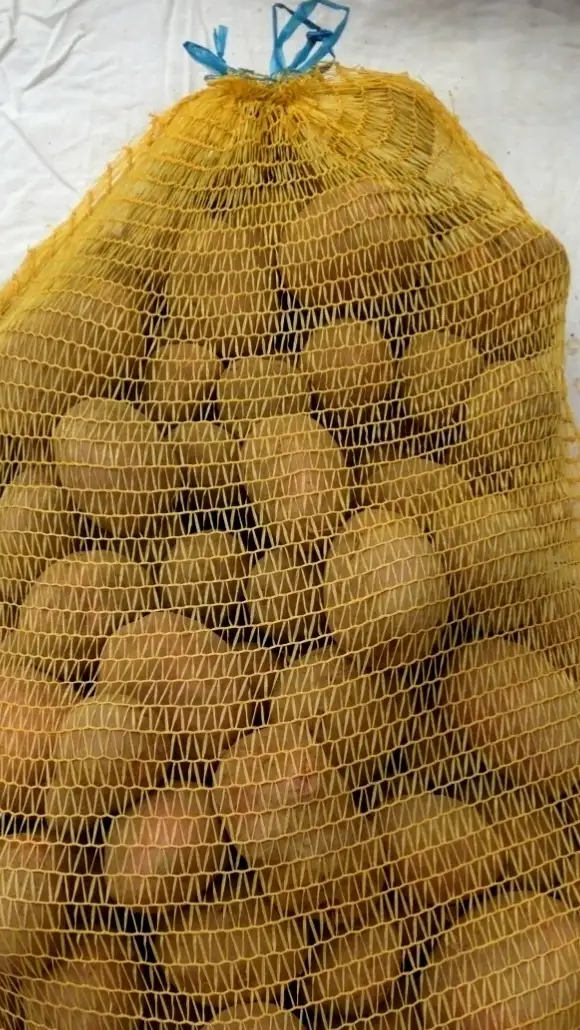 Pomme de terre Mona Lisa non lavée