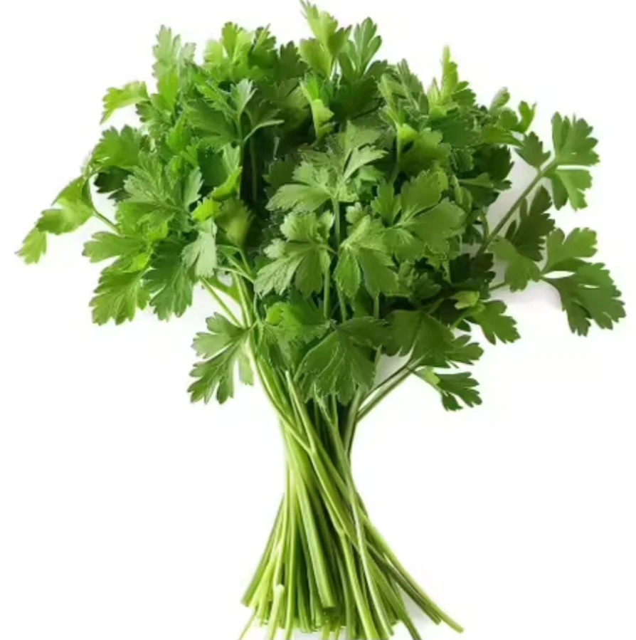 Persil plat