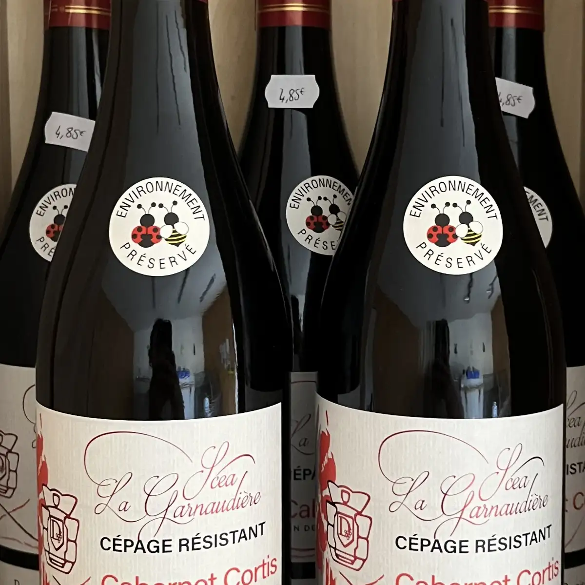 Vin rouge « cabernet cortis »